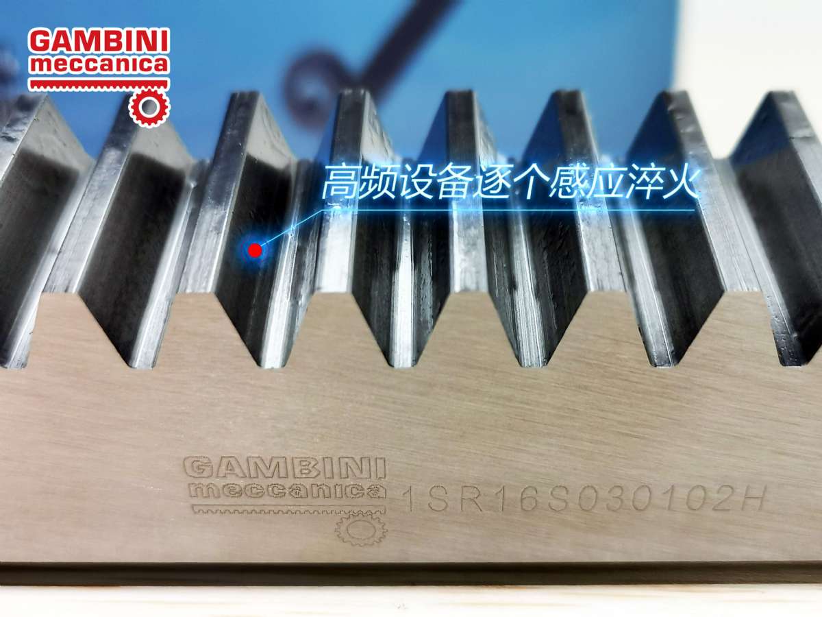 意大利Gambini進(jìn)口齒輪齒條