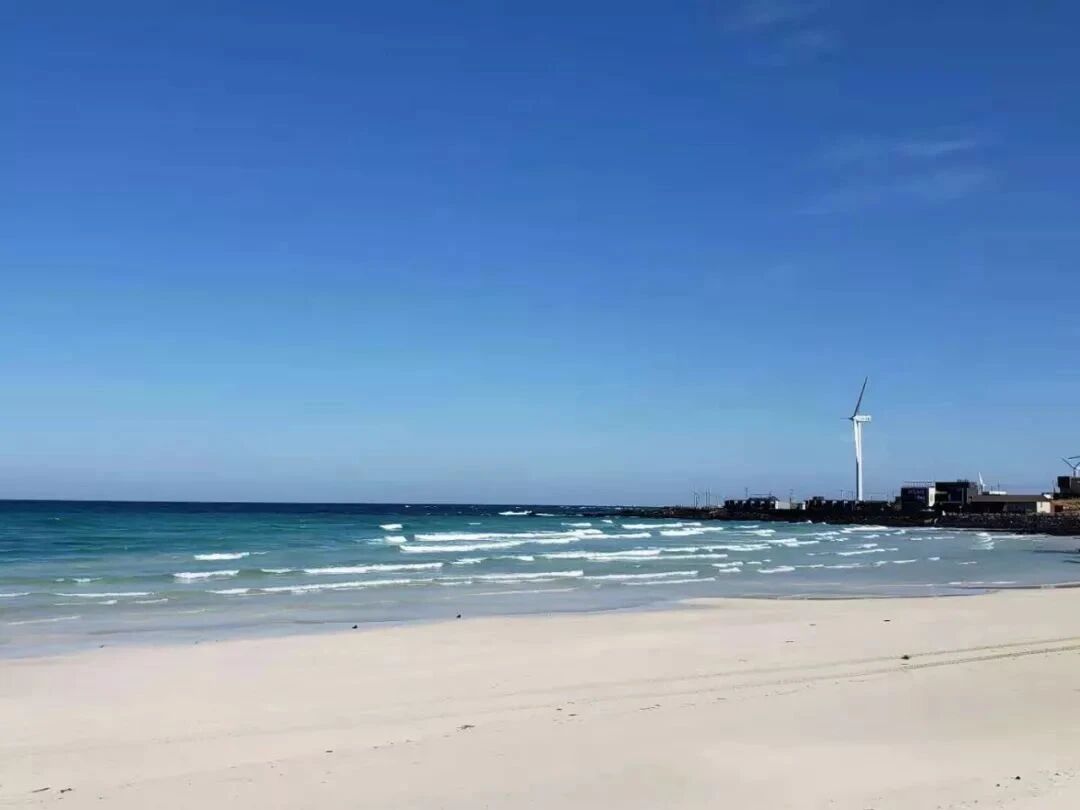 十年相伴，濟(jì)州同行 |2025年 通錦精密老員工七夕韓國之旅圓滿收官！