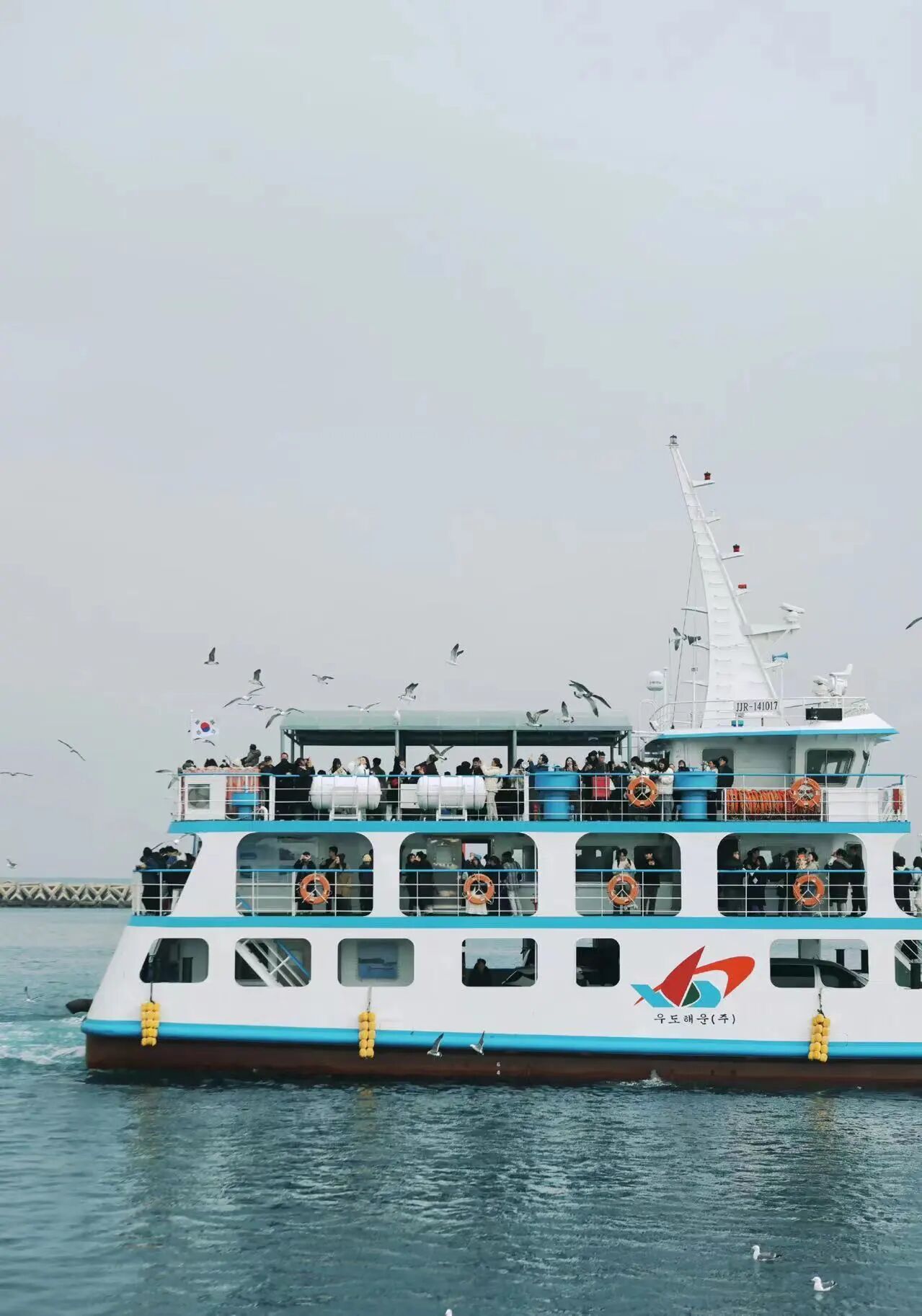 十年相伴，濟(jì)州同行 |2025年 通錦精密老員工七夕韓國之旅圓滿收官！