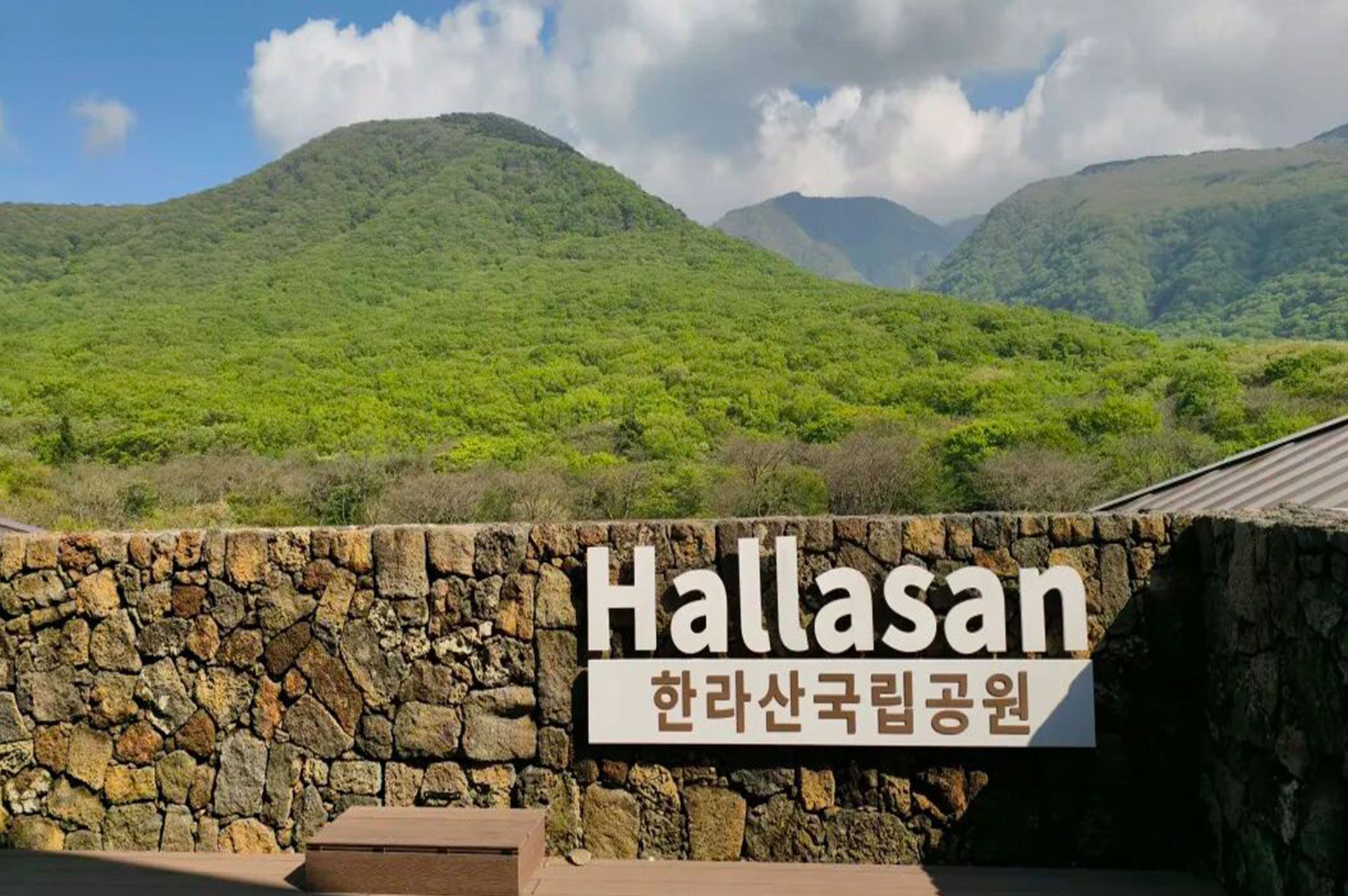 十年相伴，濟(jì)州同行 |2025年 通錦精密老員工七夕韓國之旅圓滿收官！