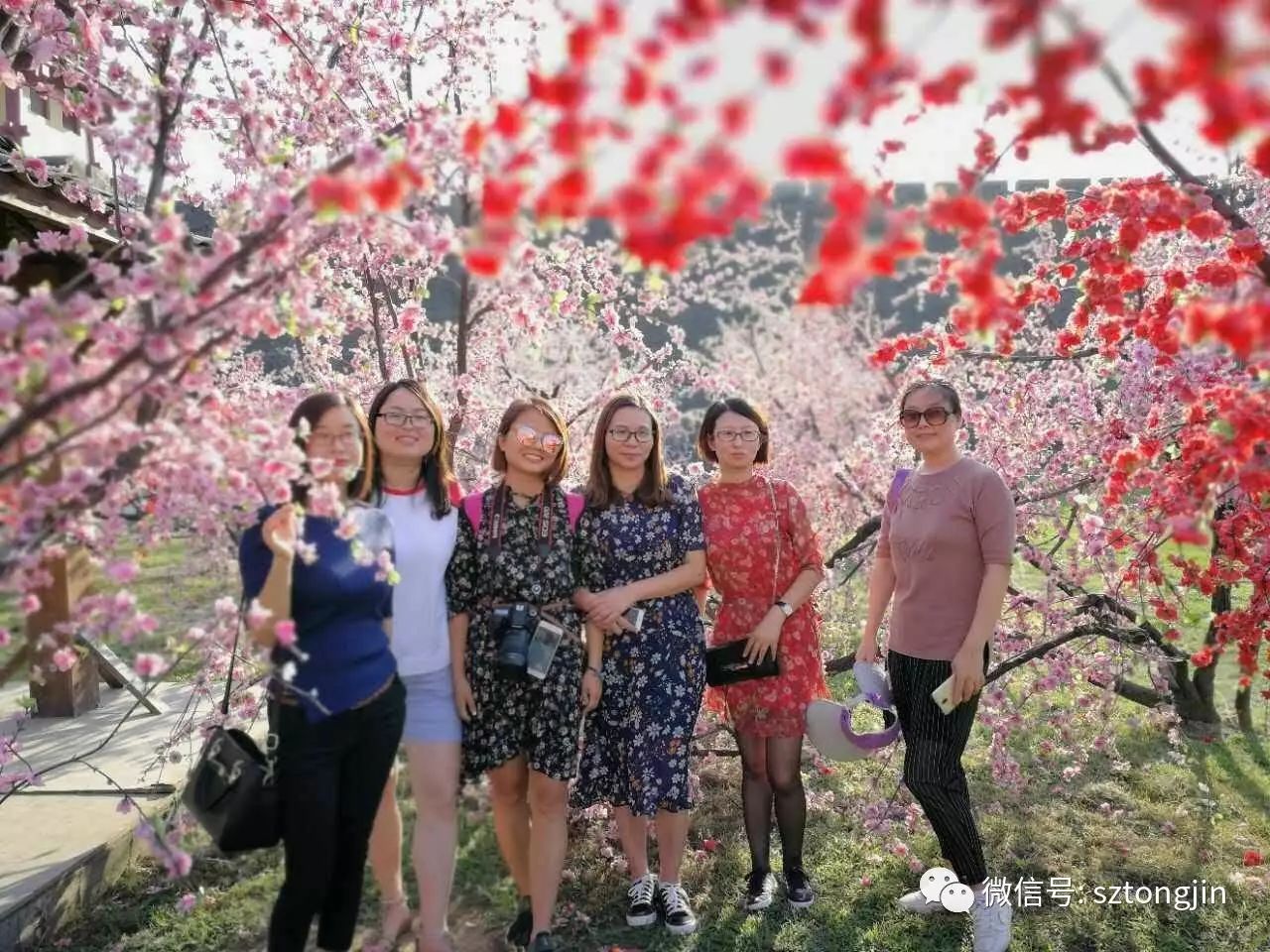 蘇州通錦金秋橫店歡樂游圓滿結(jié)束!